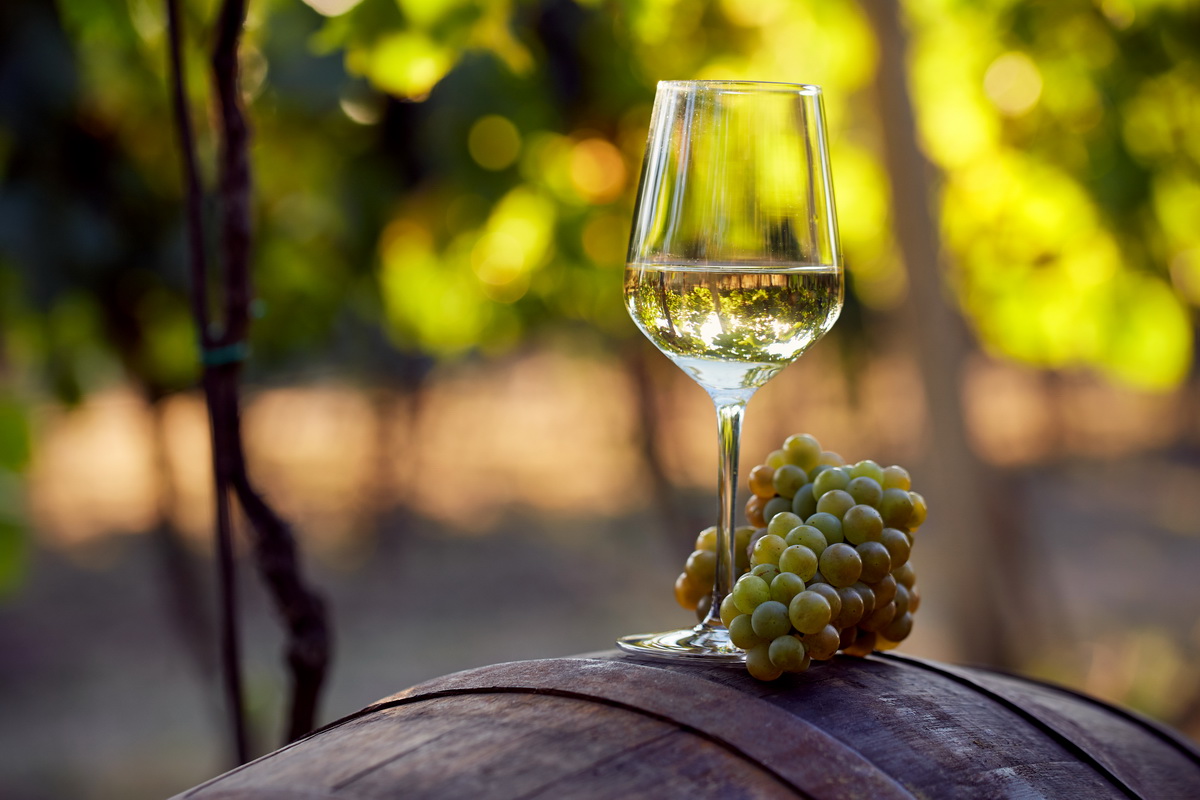 L'importance du savoir-faire artisanal dans la conception de tonneaux de vin
